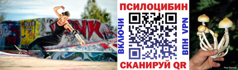Купить  Красноперекопск  Псилоцибиновые грибы Cubensis 